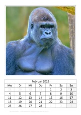 Februar_Flachland-Gorilla.pdf